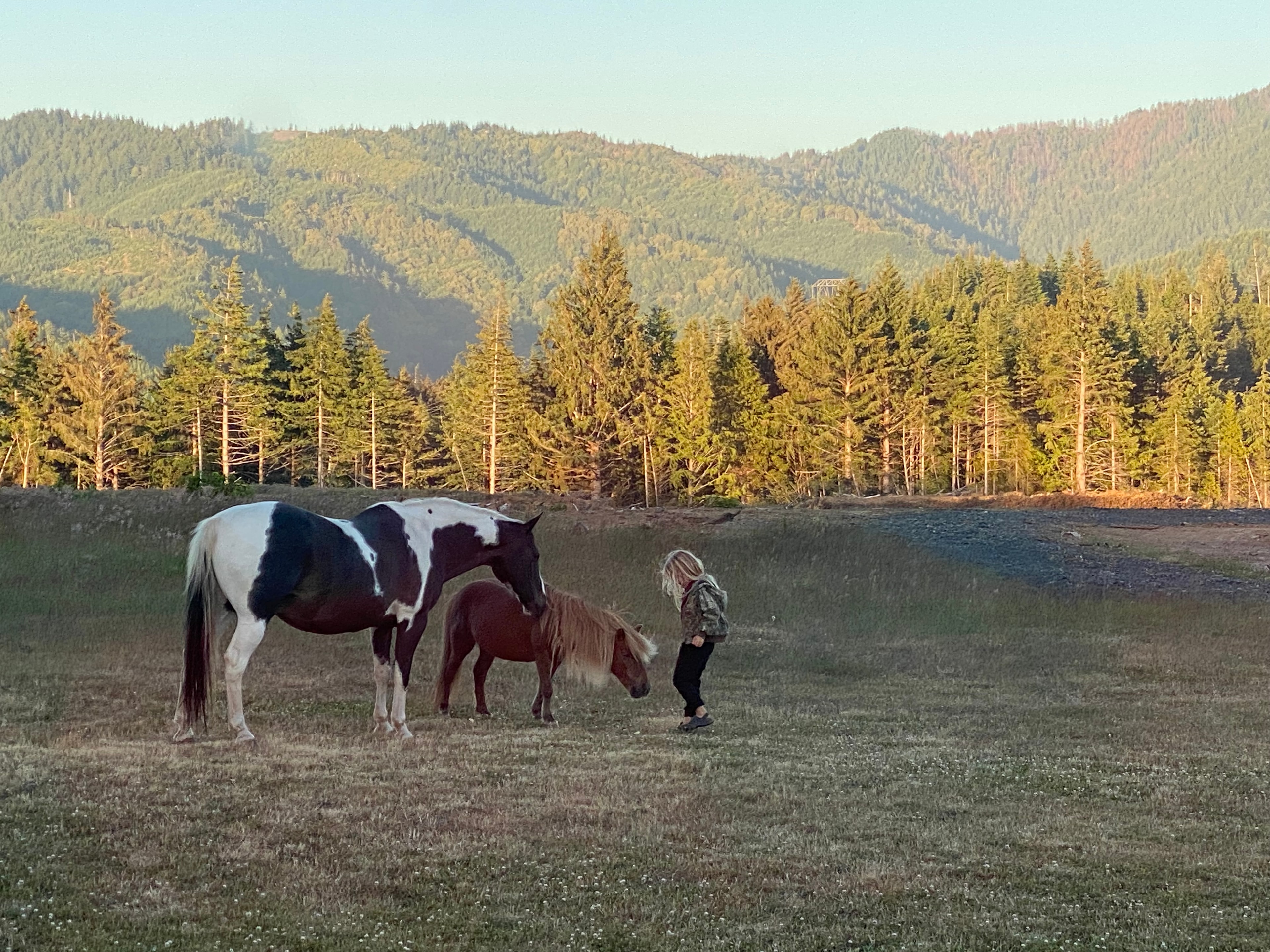 Lush green pasture at 13 Moons